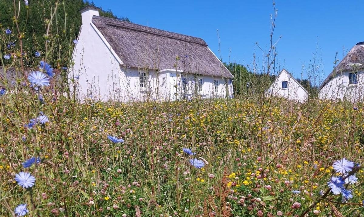 Corofin Lake Cottages Esterno foto